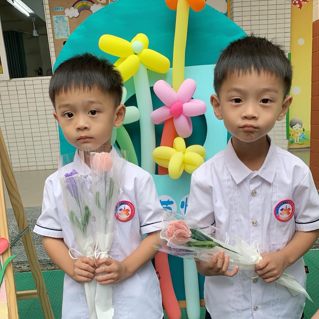 碣石佰安居窗帘 静！