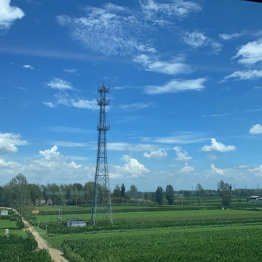 桂北果园