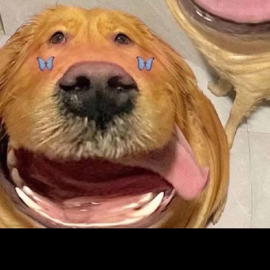 哇哦