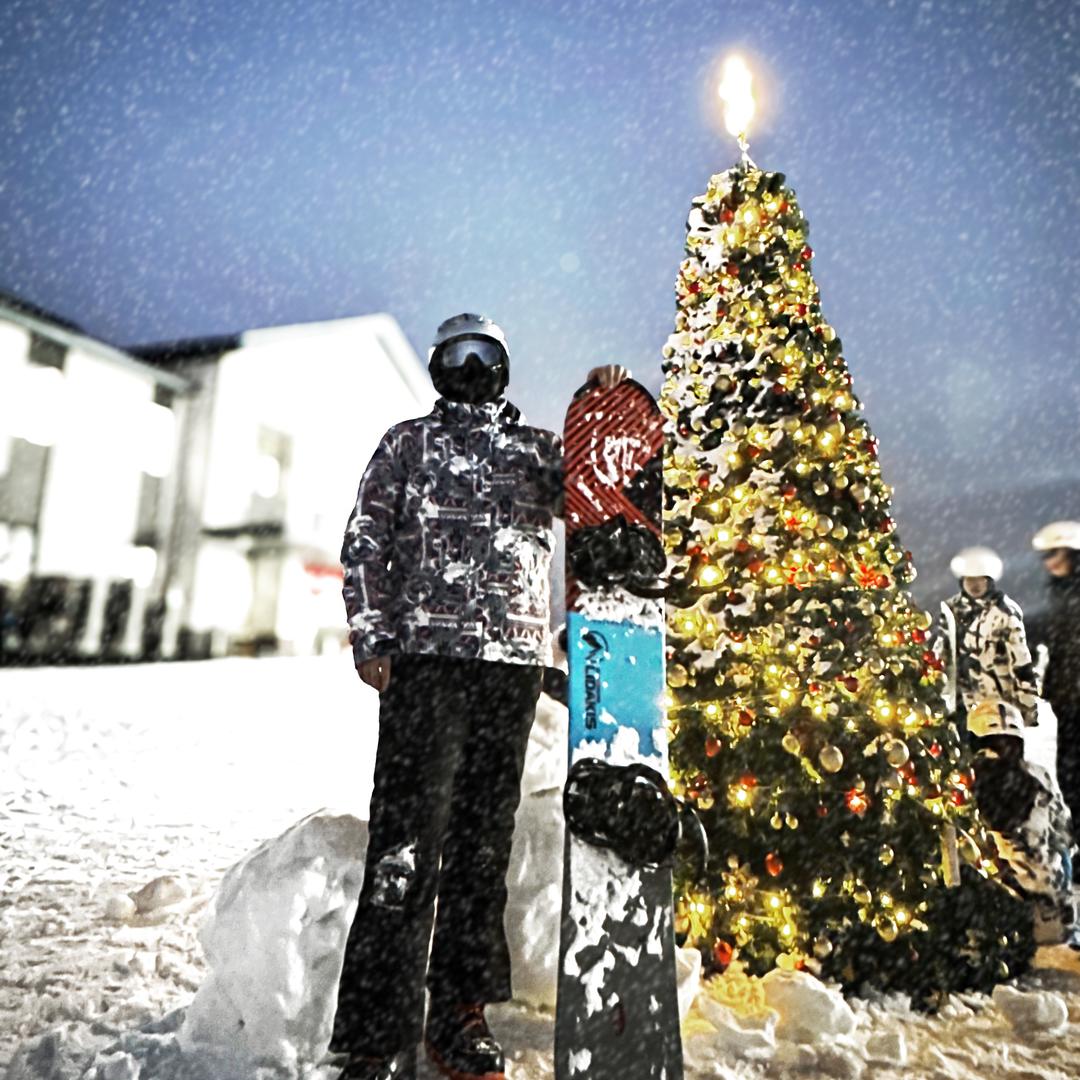 A女王殿下的弟弟养的狗的电棍