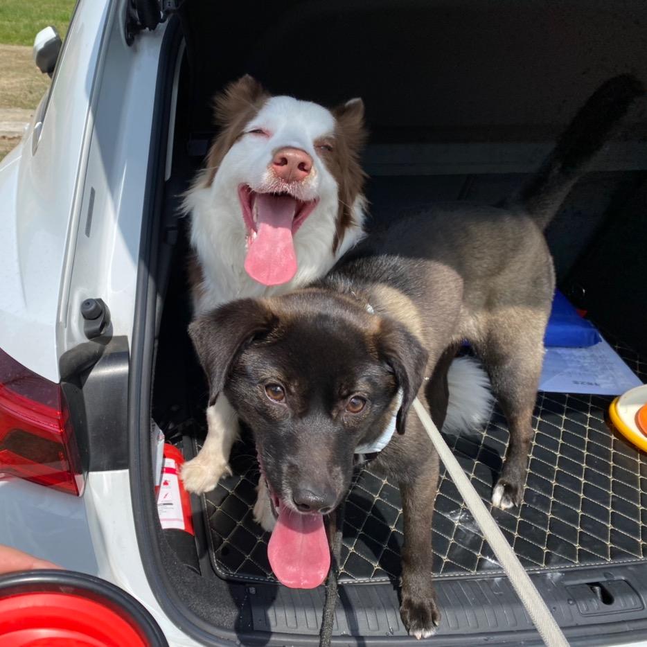 大桃🍑小啵🧋