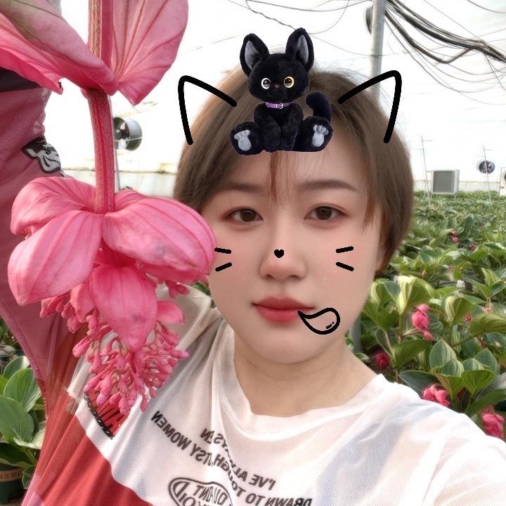 颜语花间