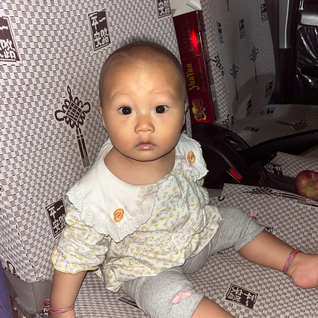 子豪宝贝
