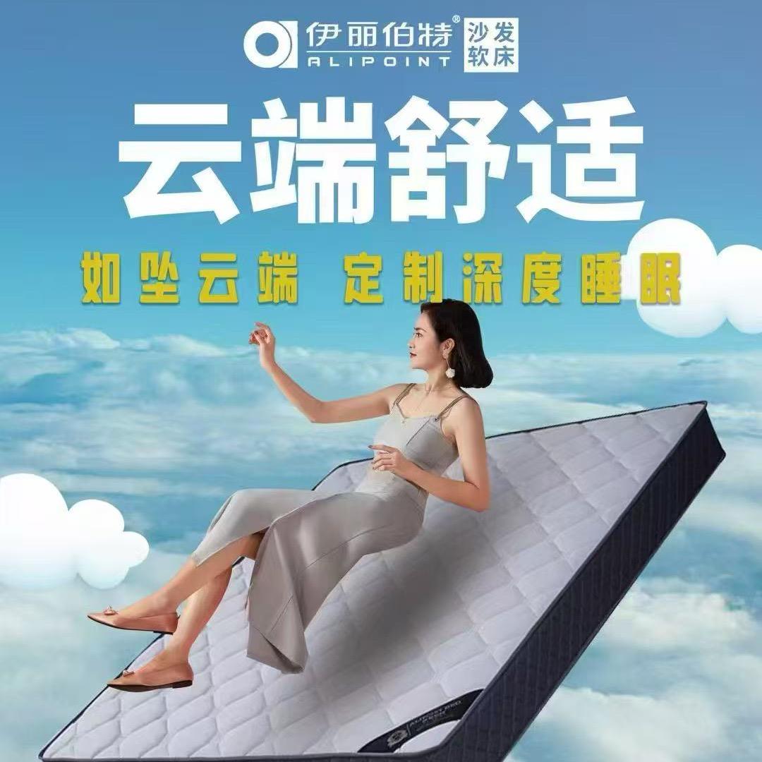 伊丽伯特沙发软床