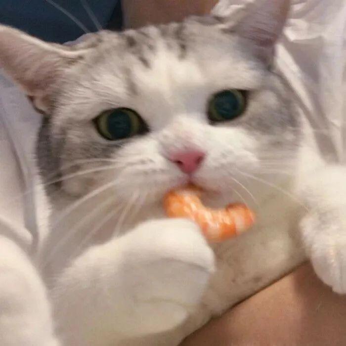 阿晨a