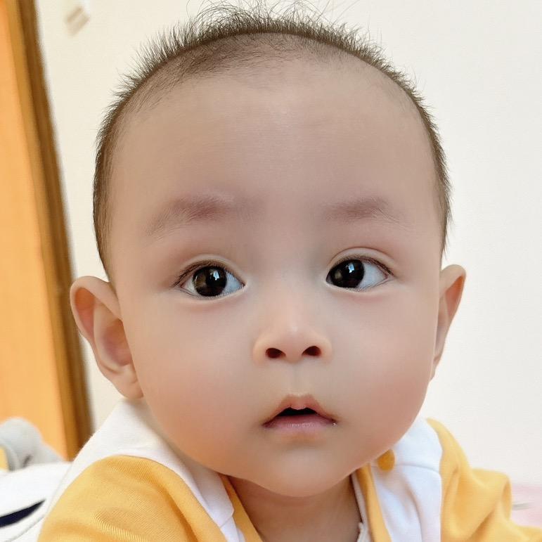 小兔子先生