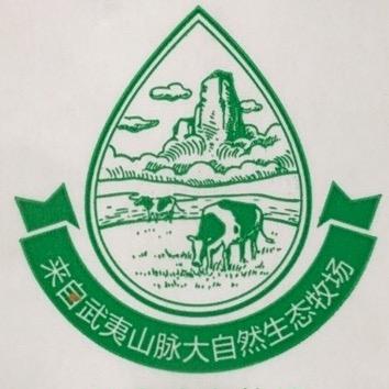 抖猫猫31