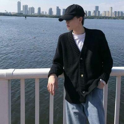 丧心病狂大灰狼