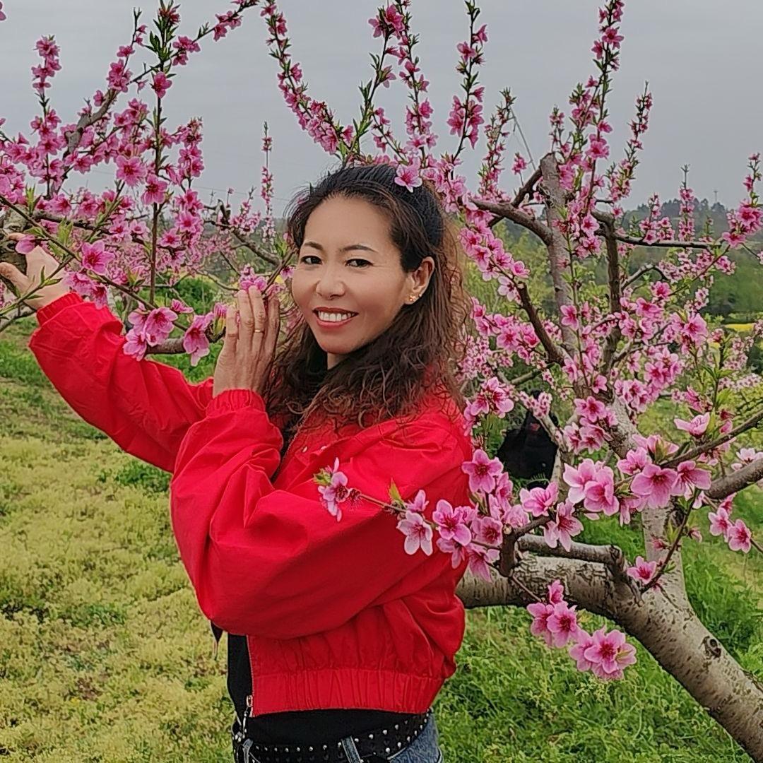 梅影之曳