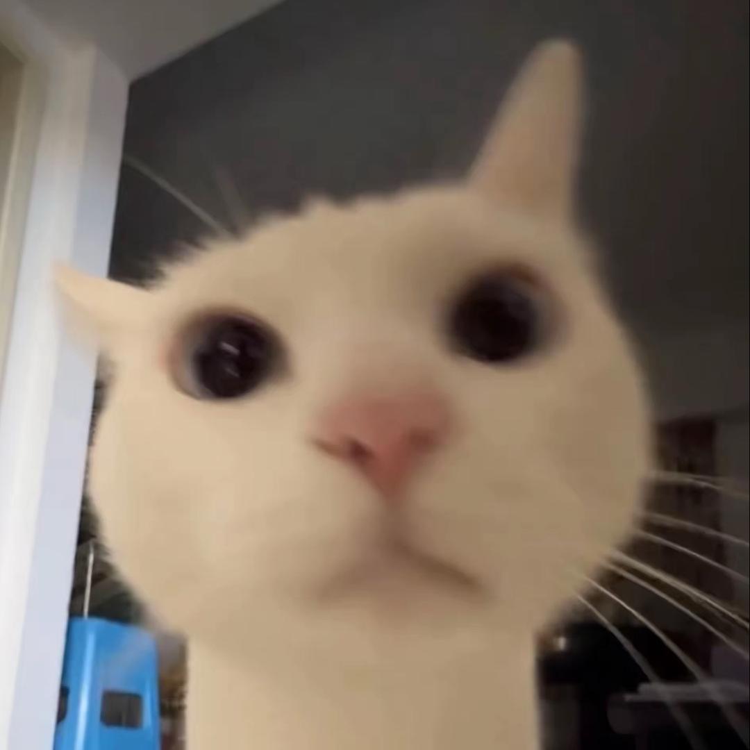 允星