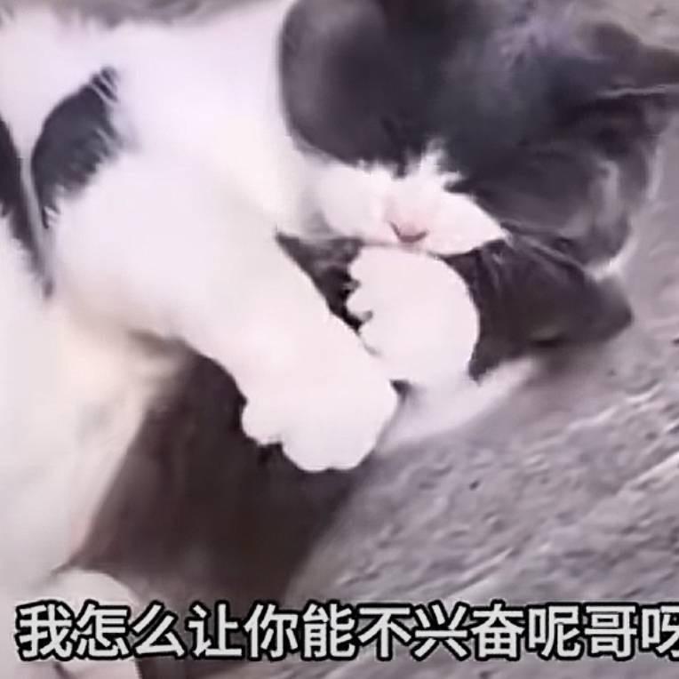 若风、