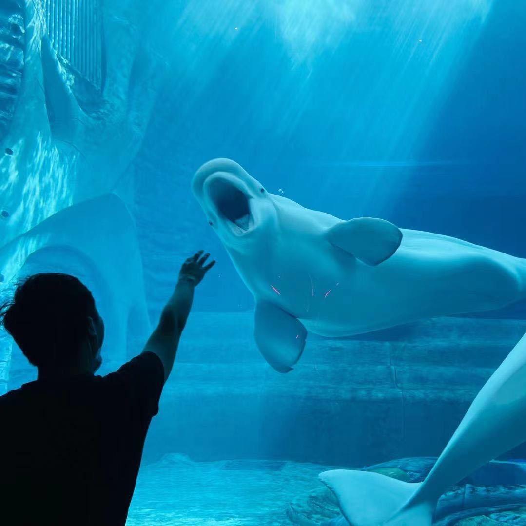 我de微笑你不懂^_^