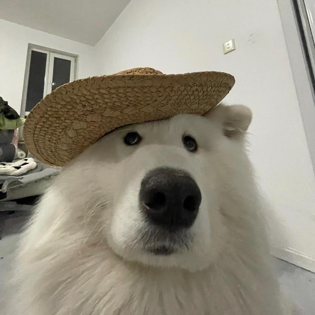 鼻涕泡