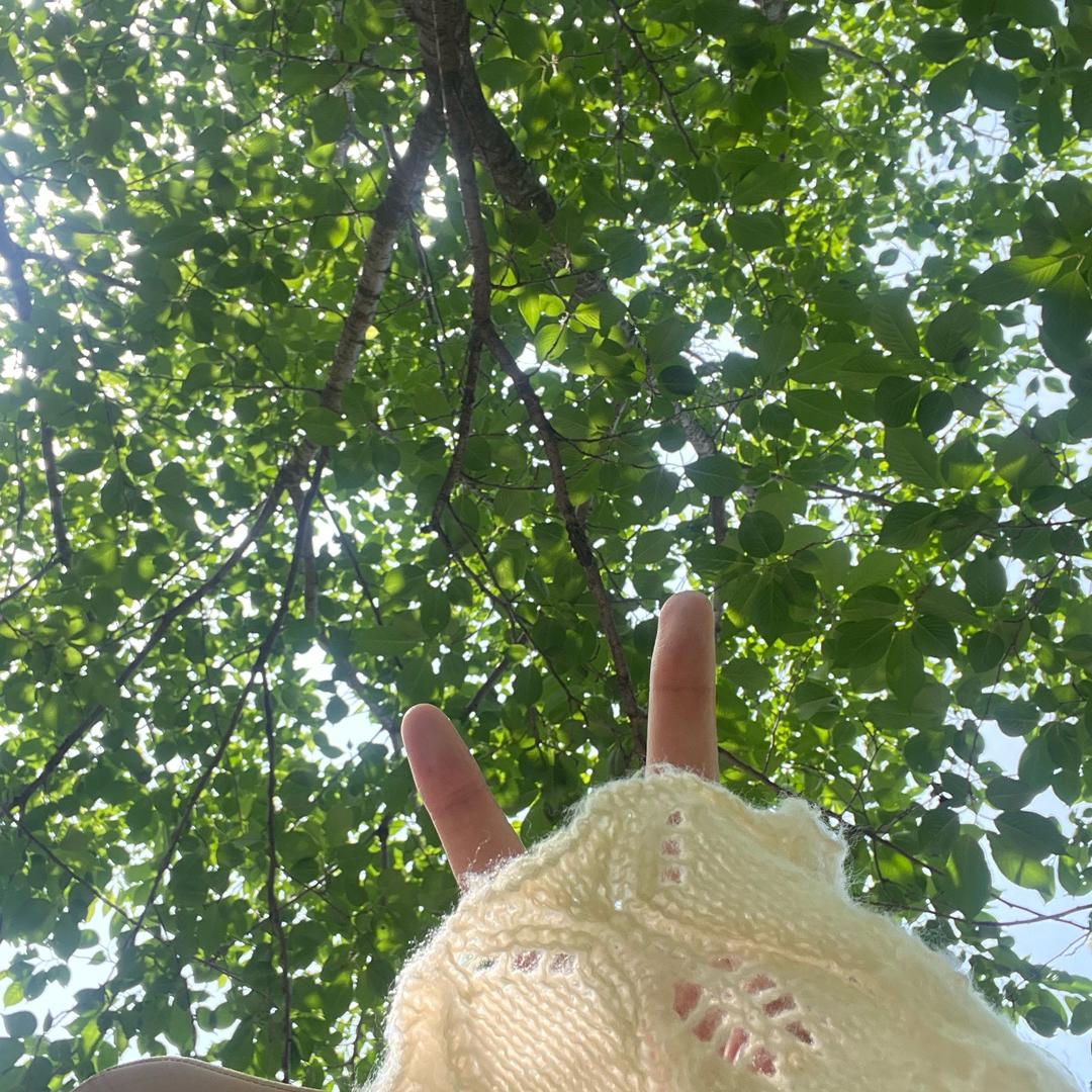 @小鹿Q.