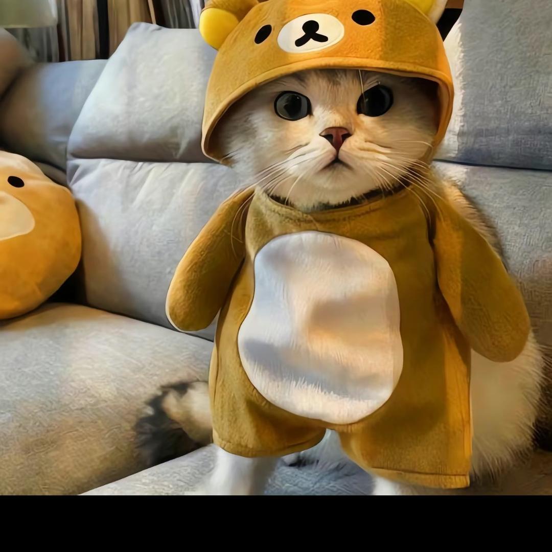 轻语