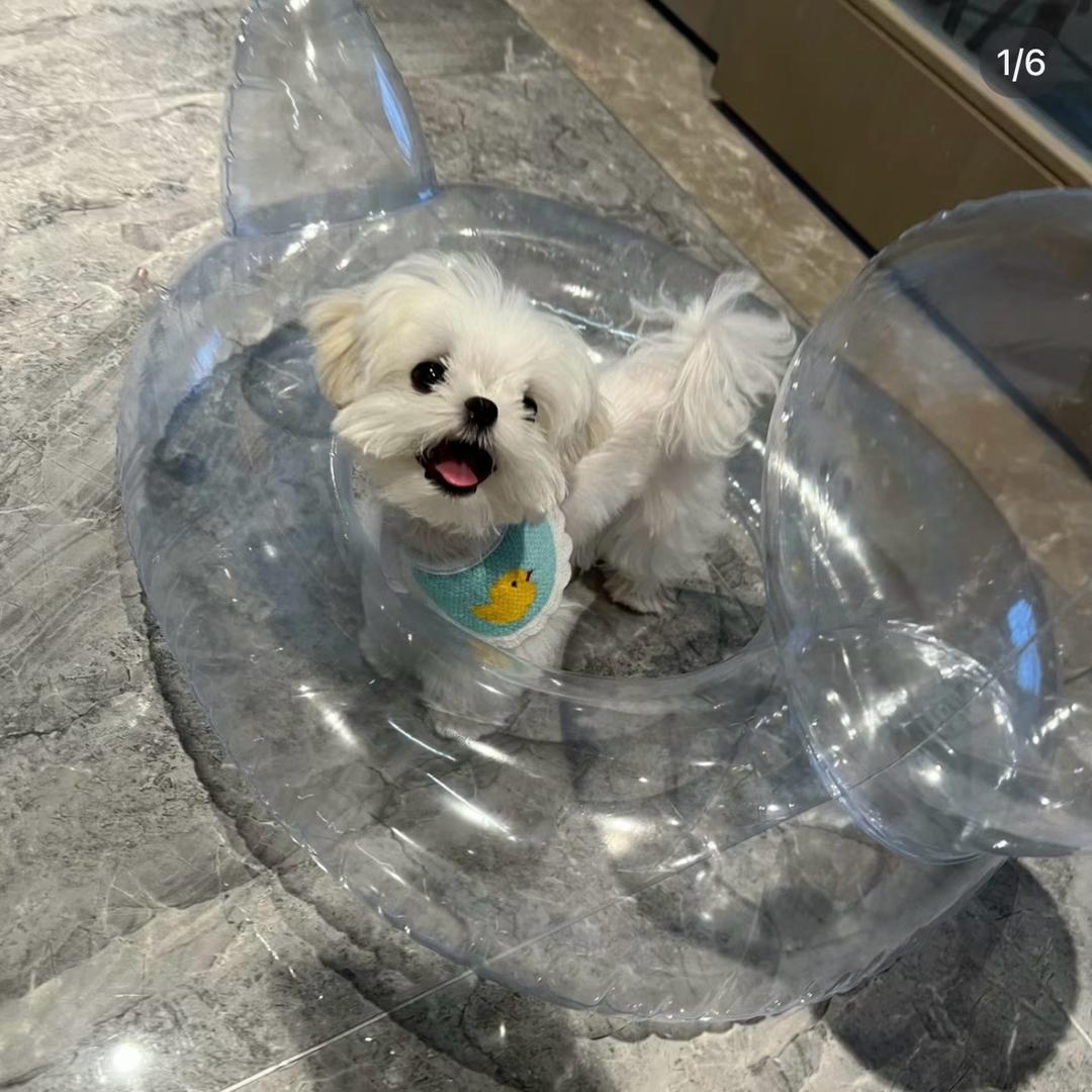 ooorb