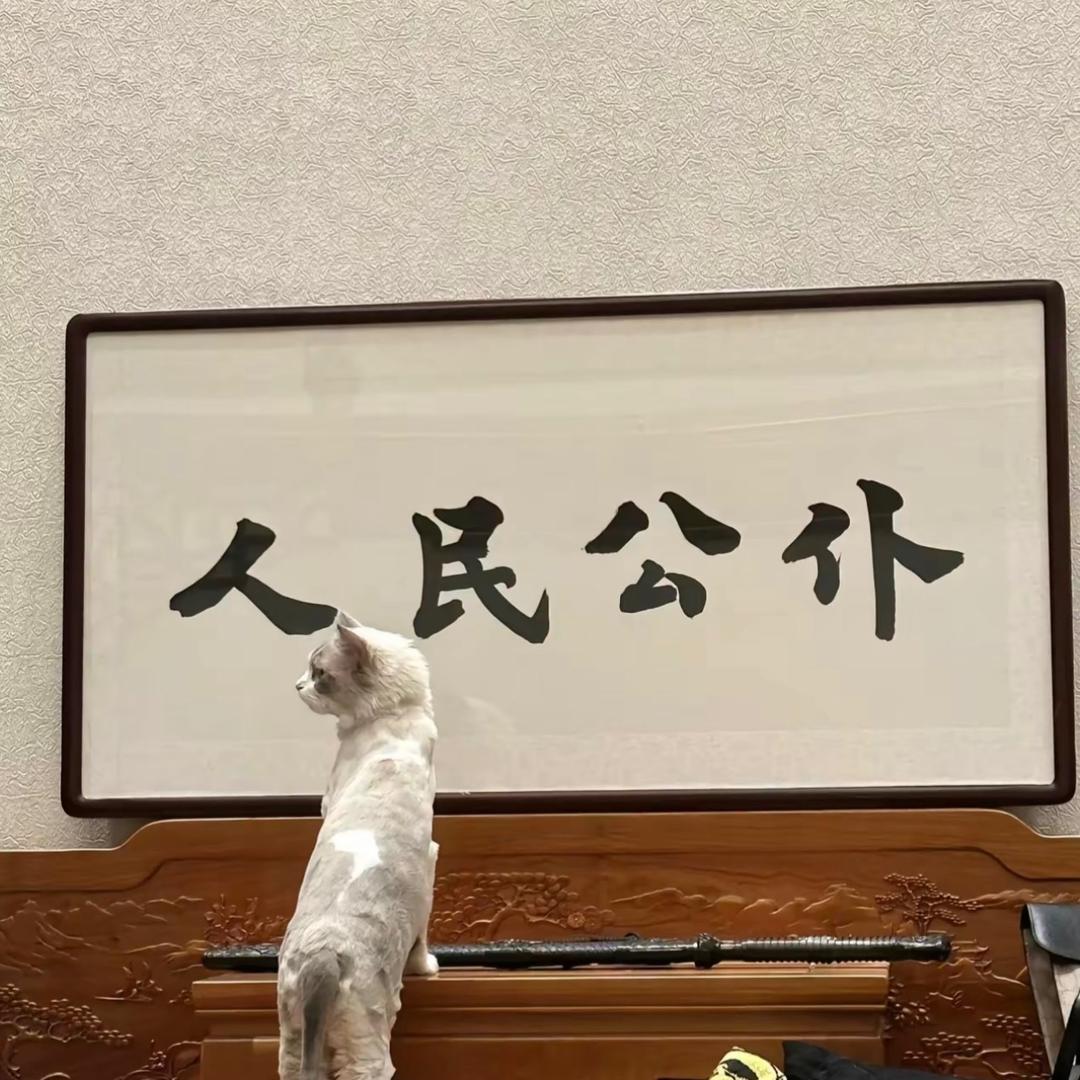 xiao奎