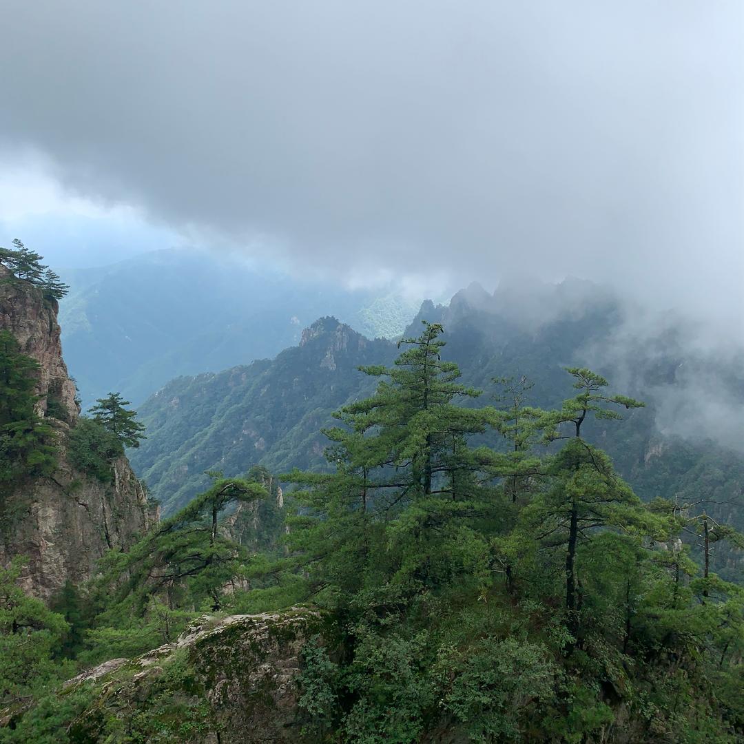 沫宝（一直保持微醺状态）