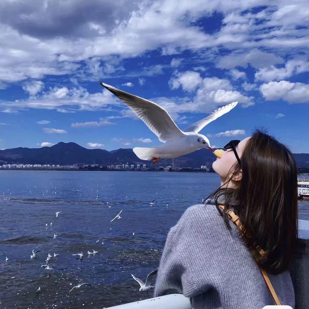 卿木短视频运营