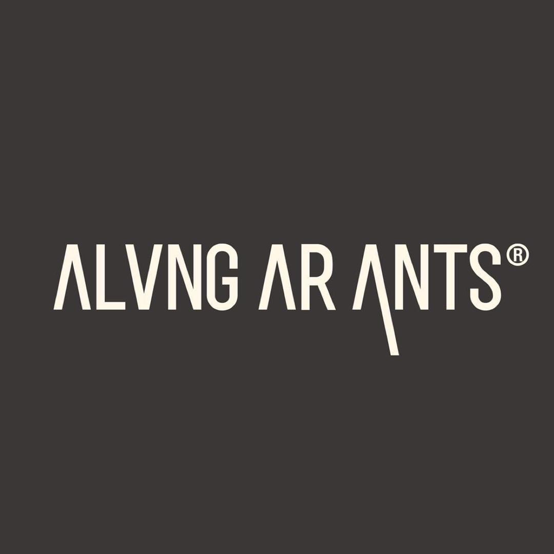 芸蚁ALVNG AR ANTS.Lab