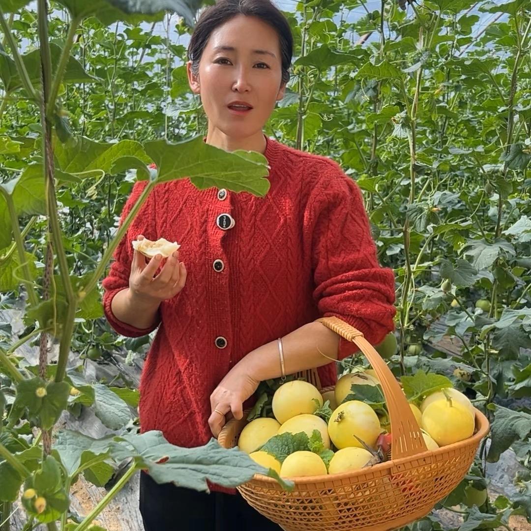 陕北菲菲