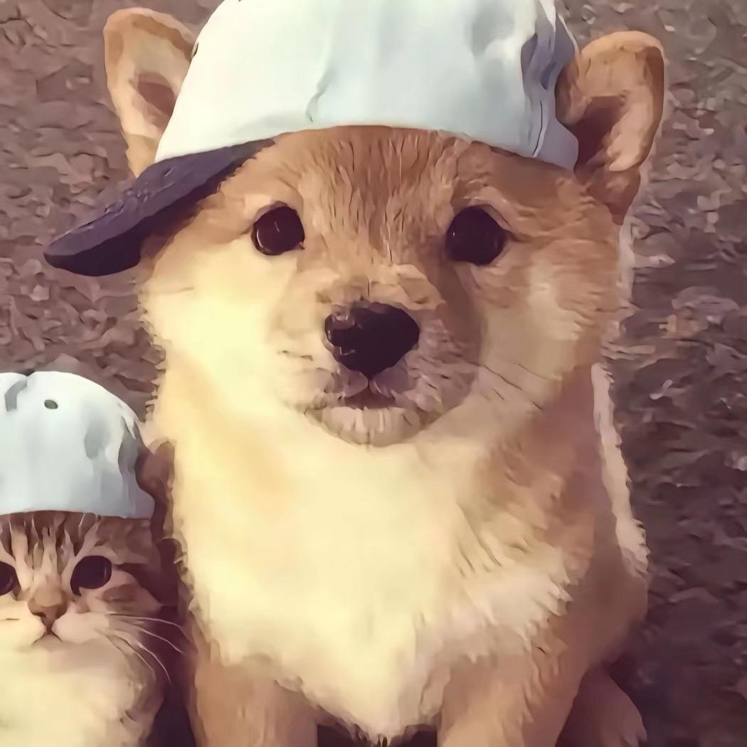 不慧叭^o^