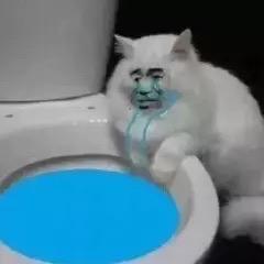 🌈M