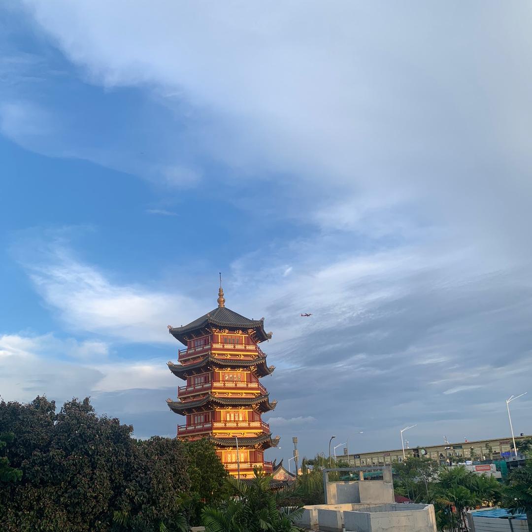 听风的蝉