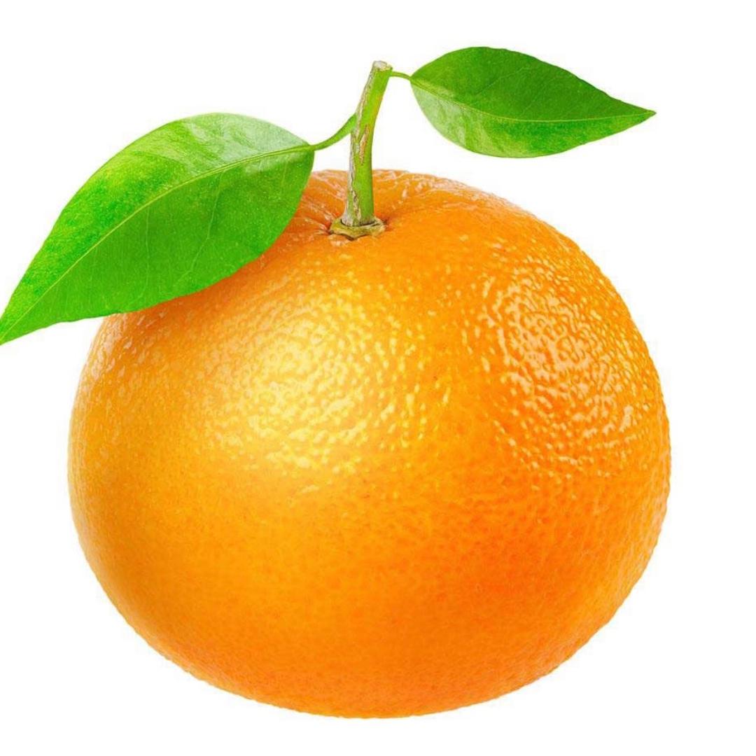 大橙子🍊~