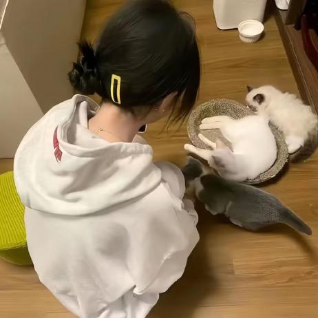 缎缎