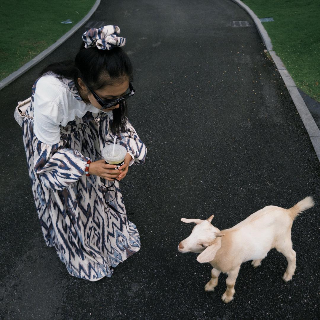 南冥（西宁教培阿老师）