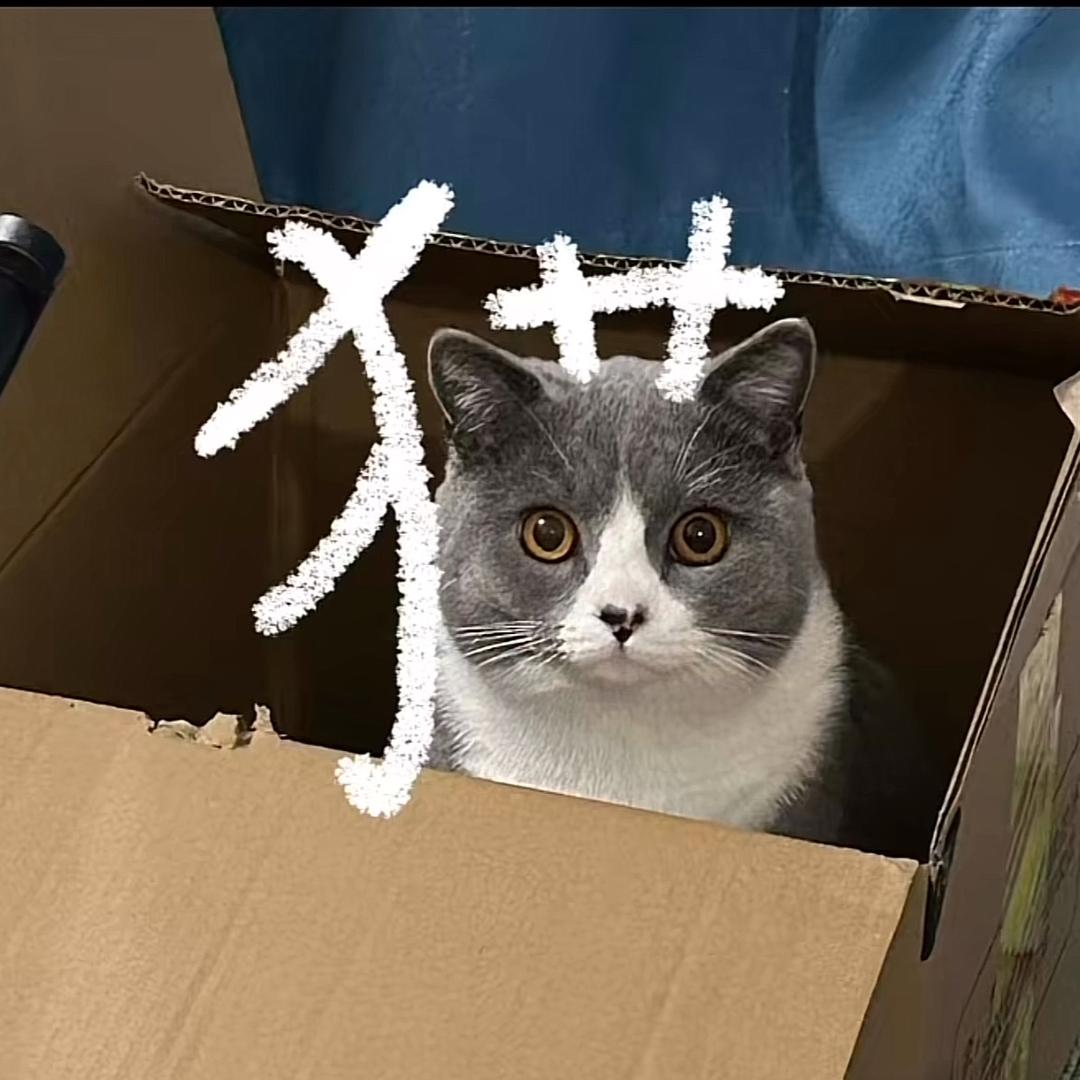 好运常来ii