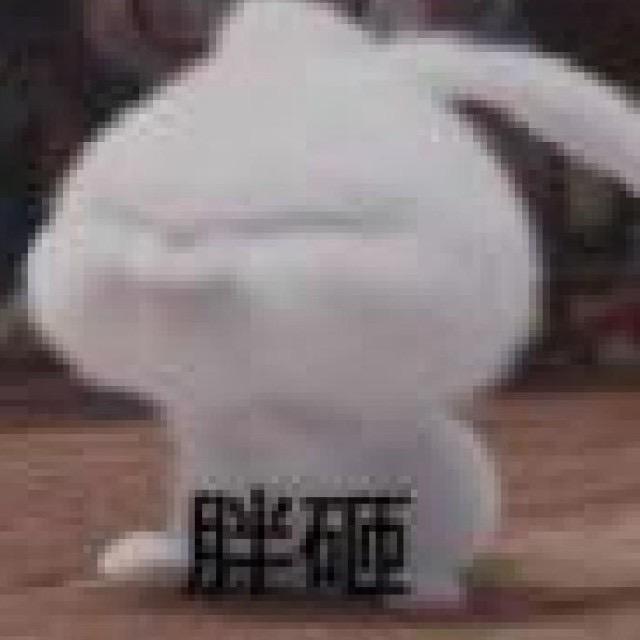 51学长k