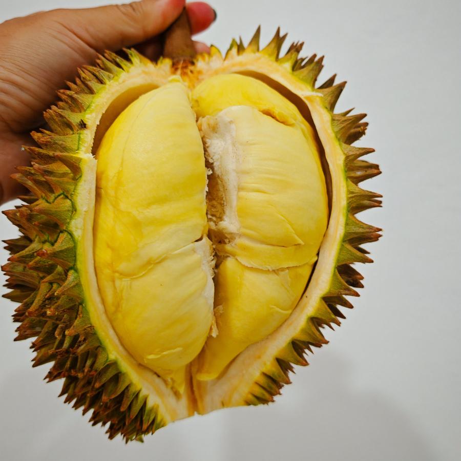 物之润