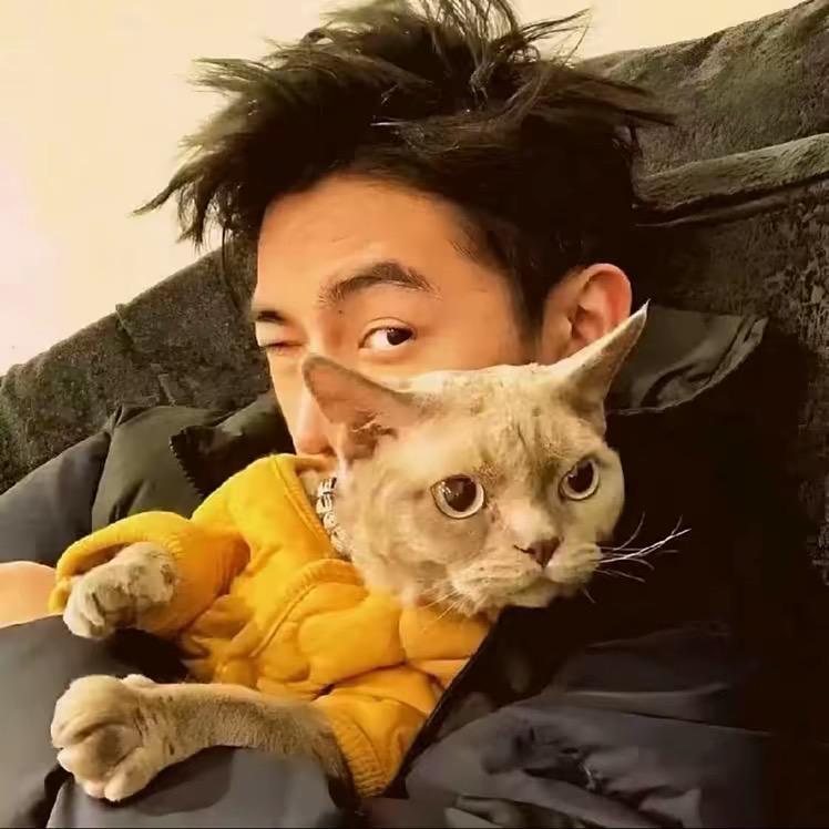 似锦