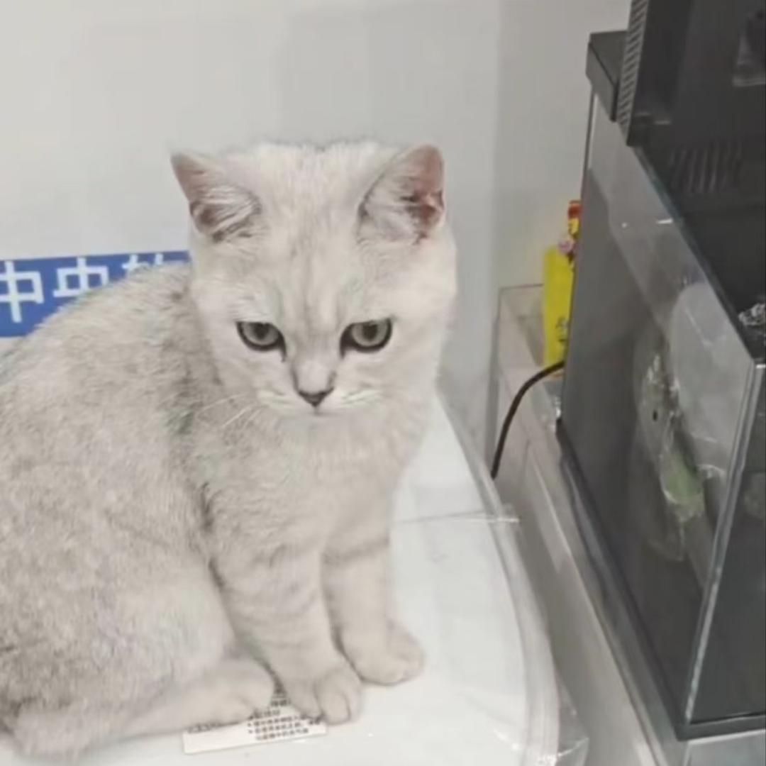 郯城缘之恋商贸有限公司