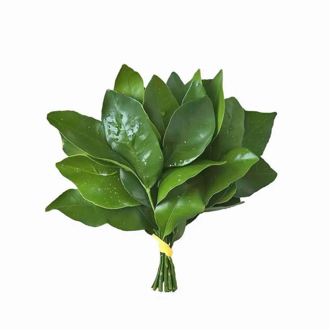 万事求大吉