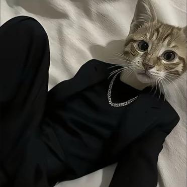 束发紫金冠持方天画戟坐下赤兔马吕小布是也