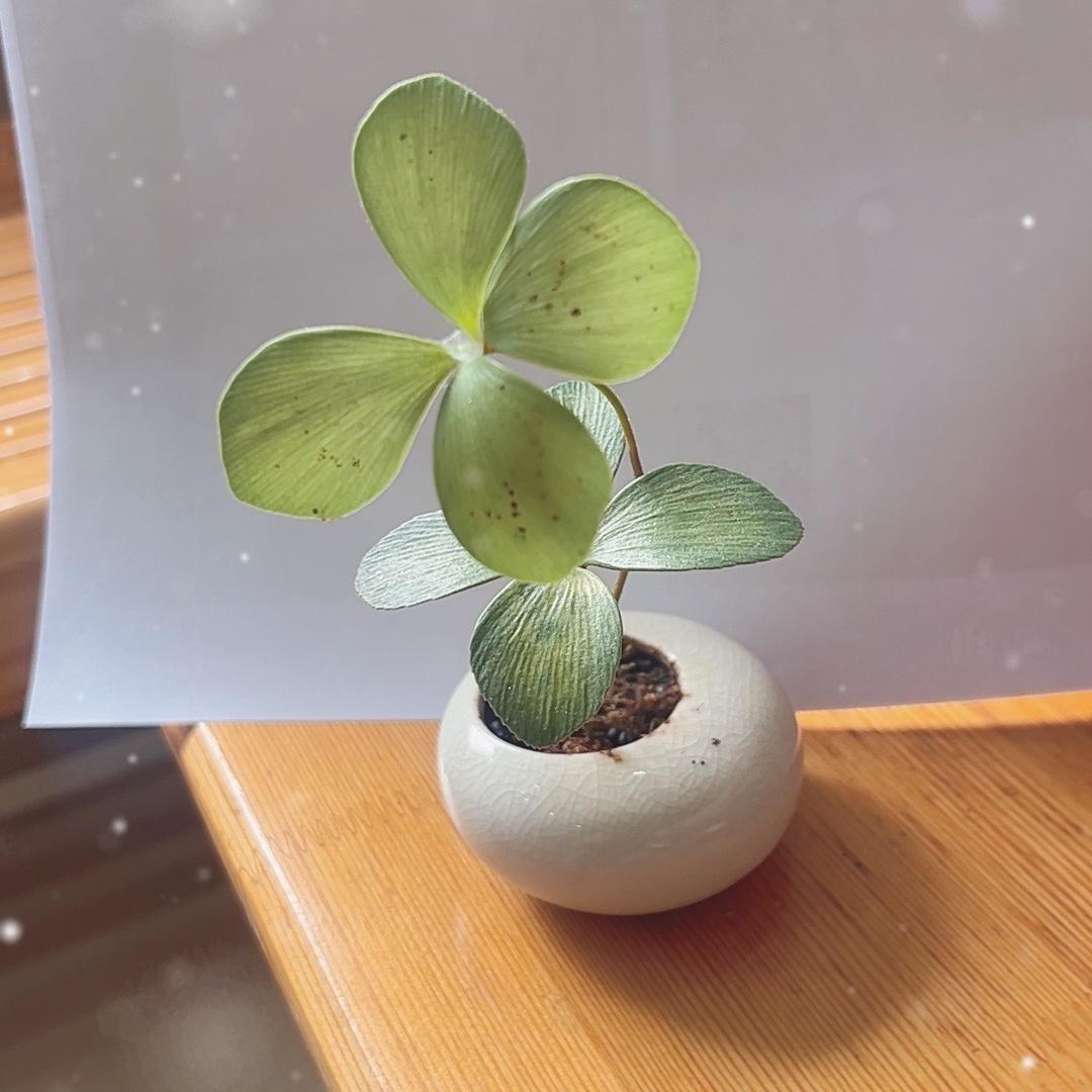 凤喜好物