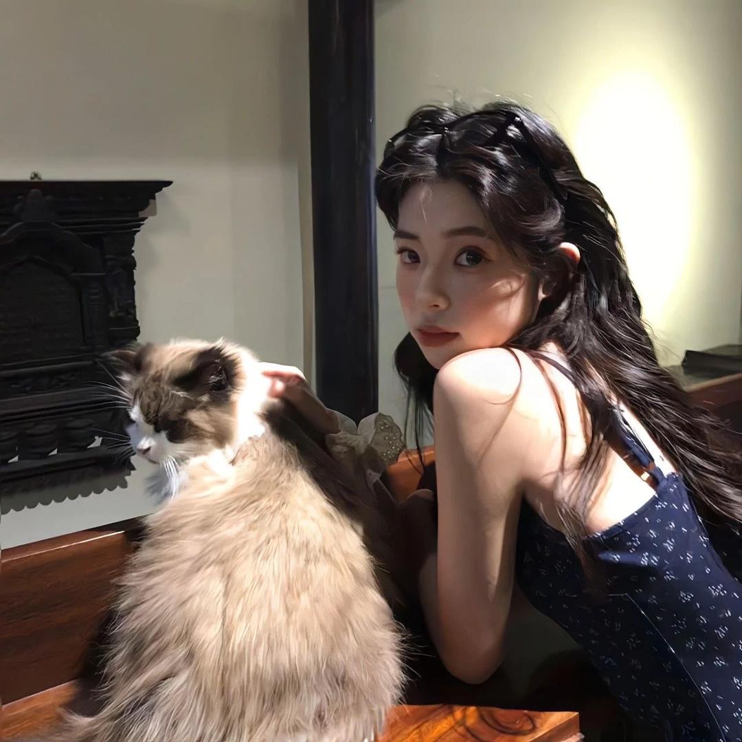 糕冷Kitty猫