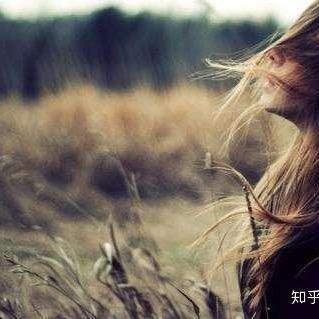 上海沈富专业十年钢结构工程