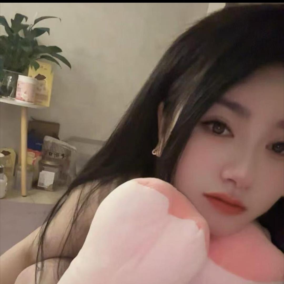 小夜猫