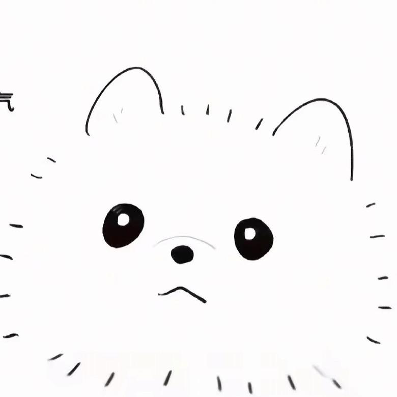秋天那只猫_Unico