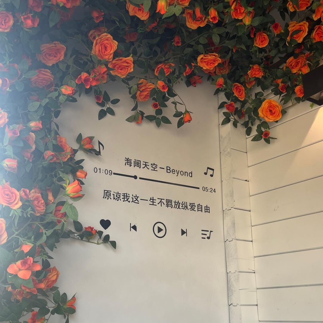 七公主🌈