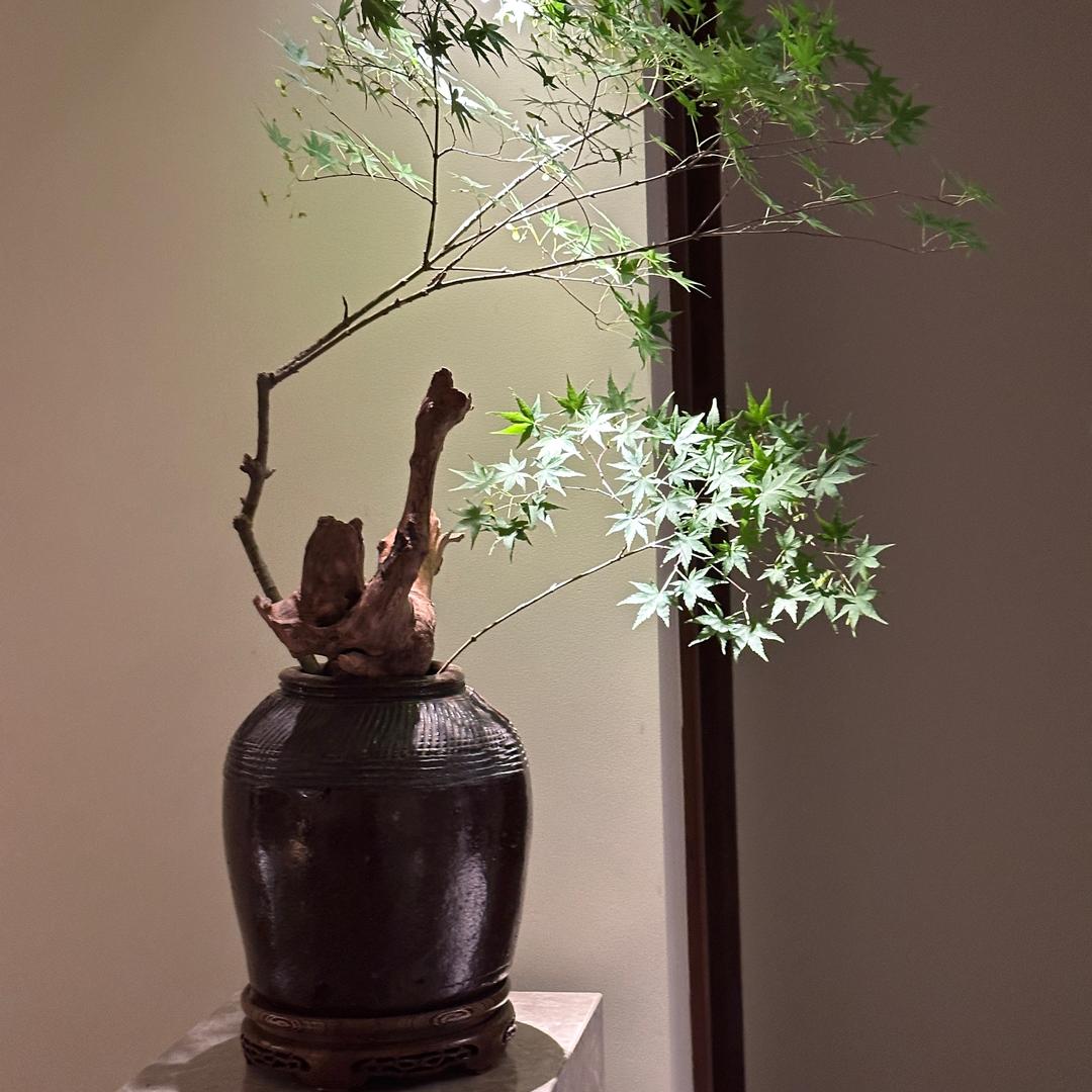 易兆精品设计