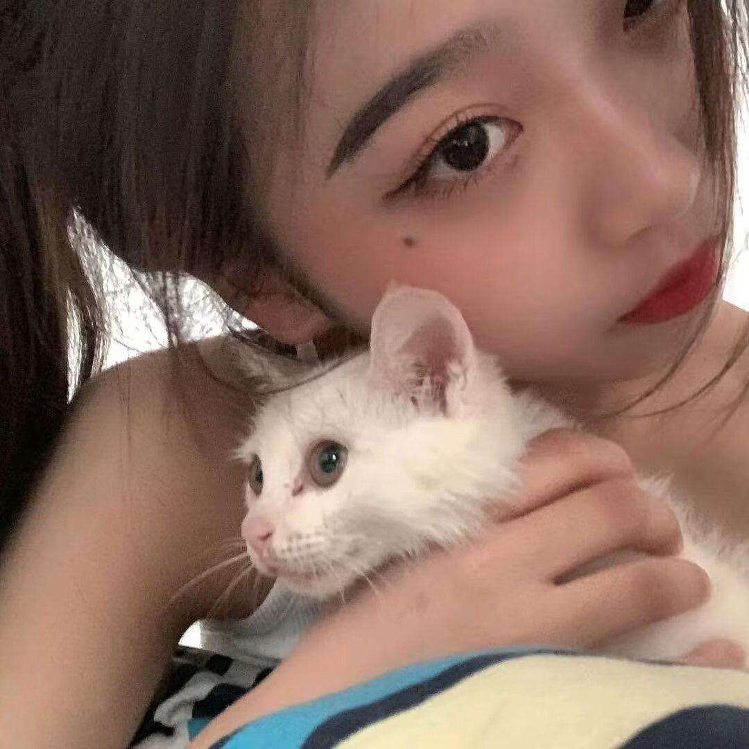 沈曉红