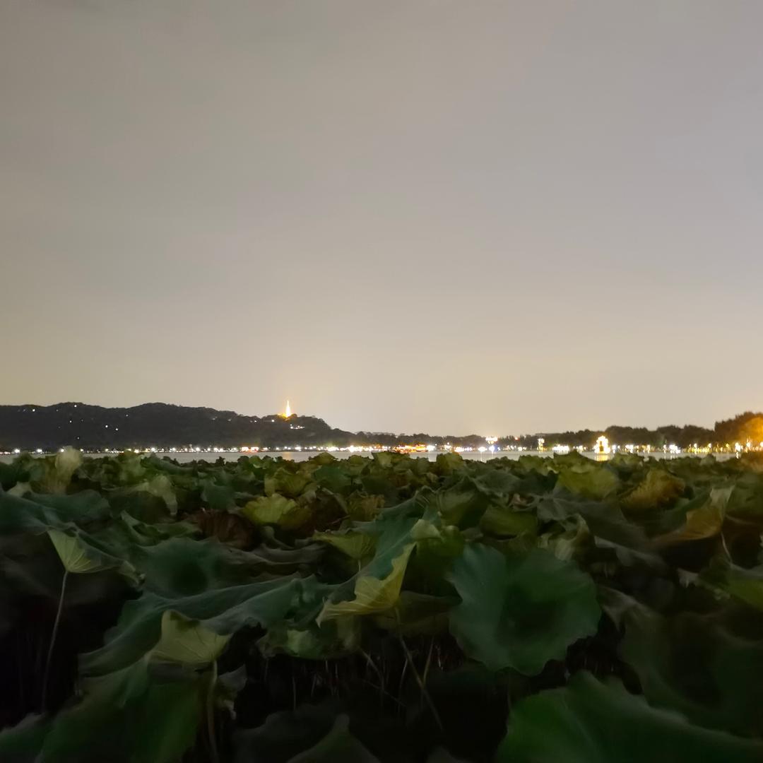吃鱿鱼