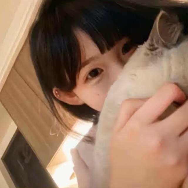 大炮头像