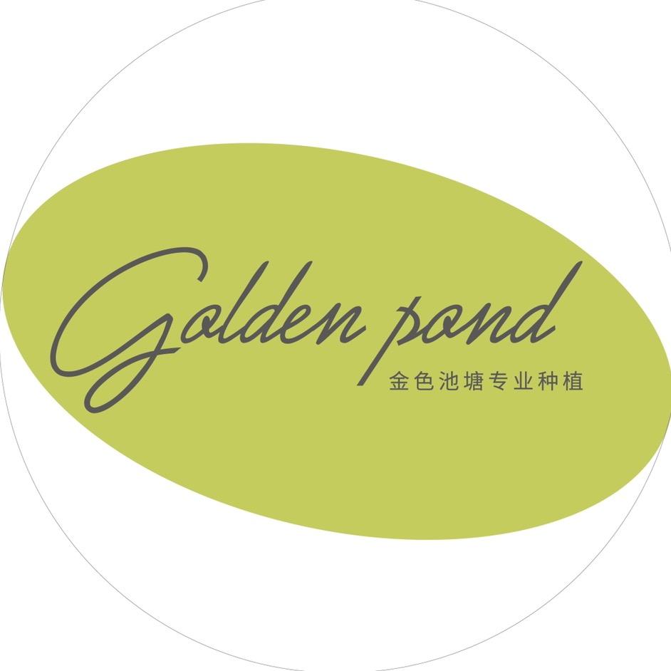 金色池塘goldenpond花卉旗舰店