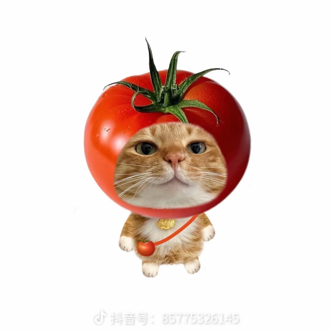 又困了～